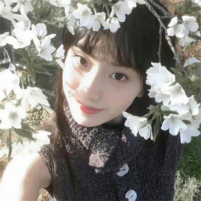 寻找传家宝